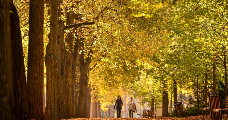 A jövő héten változékony őszi időjárásra számíthatunk, amelyen a napsugarak és a felhők váltakozása tűnik ki.