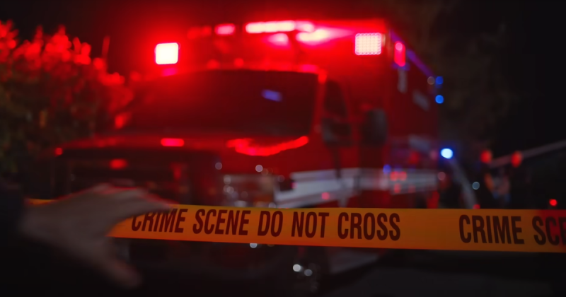 Megérkezett a kritikusok által egyöntetűen dicsért, 100%-os minősítéssel bíró zsarus sorozat második évada! Ne hagyd ki, hiszen az első szezon már elérhető itthon is streaming szolgáltatásokon.