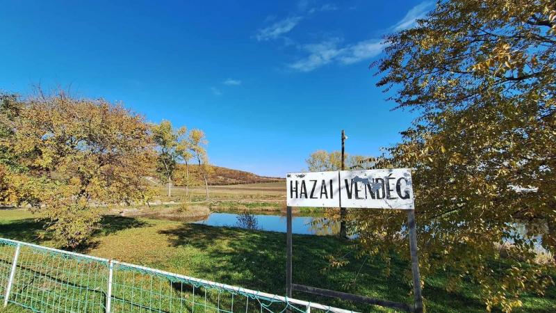 Nem fogja elhinni, mit mondott az edző, miután nyolc gólt kaptak idegenbeli mérkőzésen!