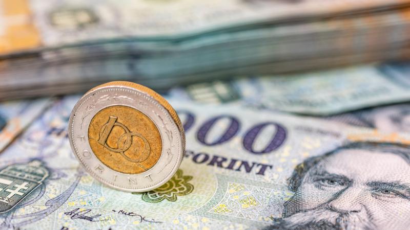 A forint súlyos csapásokat szenvedett el - Mi vár ránk a jövőben?