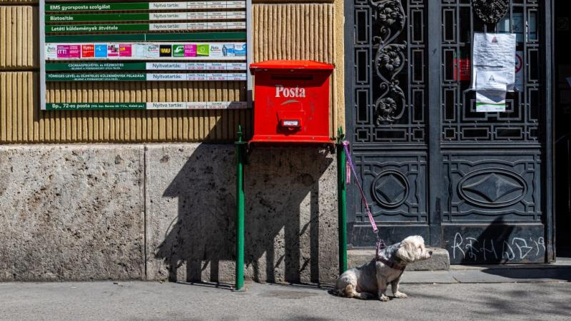 Elbocsátási hullám a Magyar Postánál: működő hivatalokból is elbocsátanak dolgozókat.