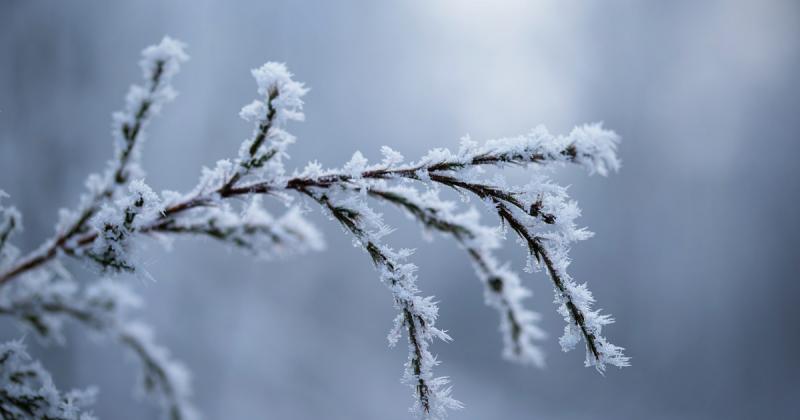 Kíváncsi vagy, hogy a hétvégén továbbra is havazni fog-e? A meteorológusoknak van néhány érdekes előrejelzése erről.