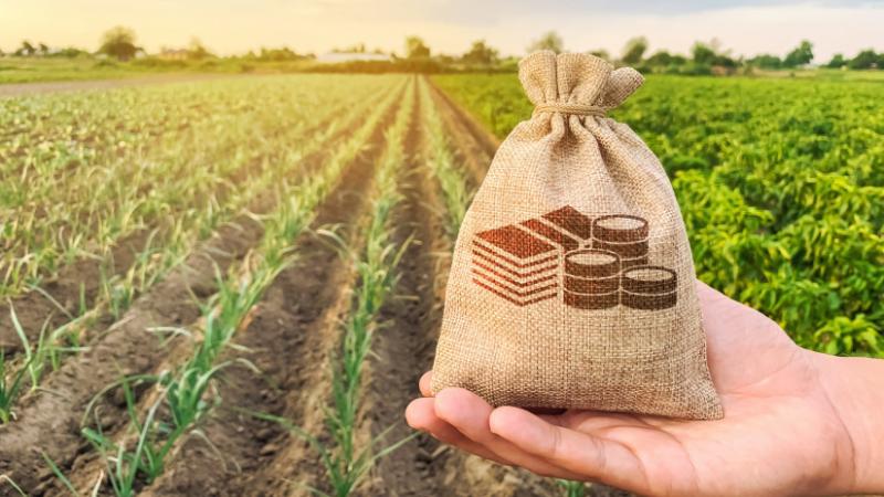 Téves befizetések: Sok magyar a nem megfelelő számlára utalta ezt a díjat - Agro Napló