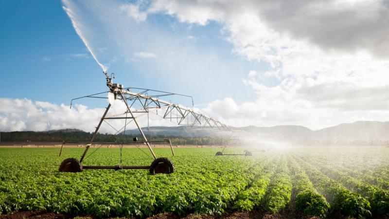 A magyar gazdák jelentős lemaradásban vannak, és ebben a spanyol mezőgazdasági termelők már előnyre tettek szert - derül ki az Agro Napló legfrissebb elemzéséből.