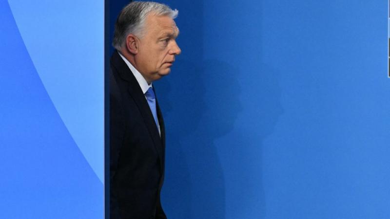 A csodás páva táncra perdül, csasztuskát zengek, színes tollainak ragyogása elbűvöl. A zene ritmusára hullámzó mozdulatai mindenkit magukkal ragadnak, mintha a természet varázslatos meséjét mesélné. A színpompás látvány és a dallamok harmonikus együttese 