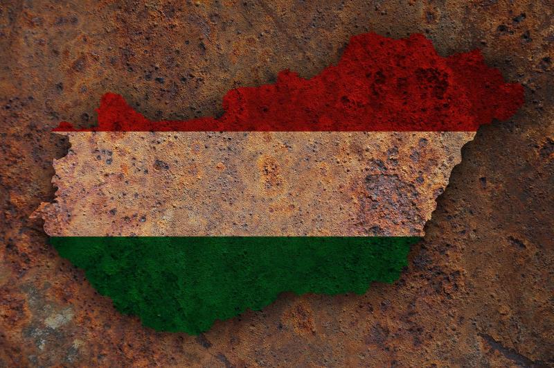 Elképesztő felfedezésre bukkantak a tudósok Magyarország területén, amely világszerte izgalmat keltett a szakmai közéletben. A külföldi sajtó máris a legnagyobb szenzációként említi ezt az eseményt, amely új fényt vet a régió történelmére és tudományos ér