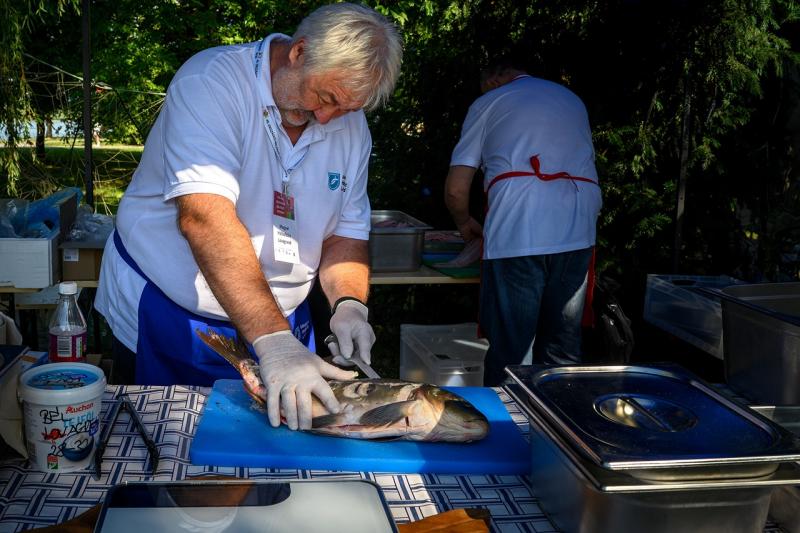Forradalmi lépés a halgazdálkodás digitális felügyeletében - Magyar Mezőgazdaság