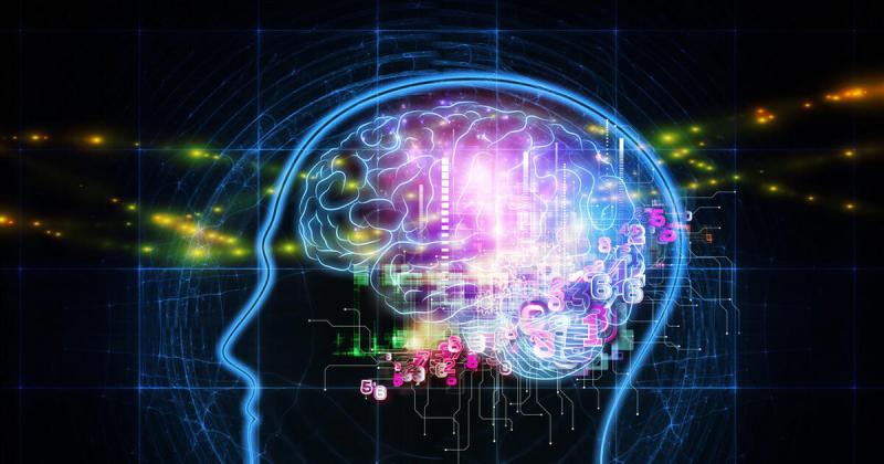 Az intelligencia egyre inkább kiemelkedik, míg a tudatlanság mélyebb szakadékba zuhan.